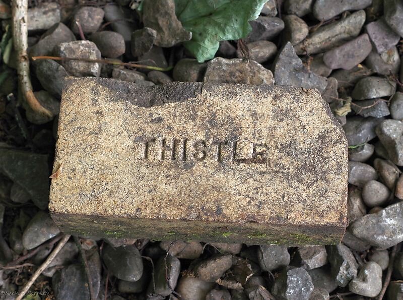 Thistle brick