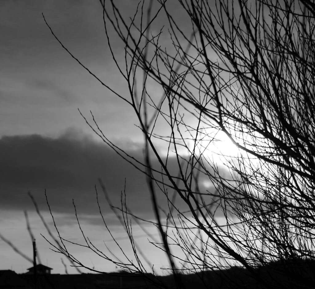 Ainsdale dunes 