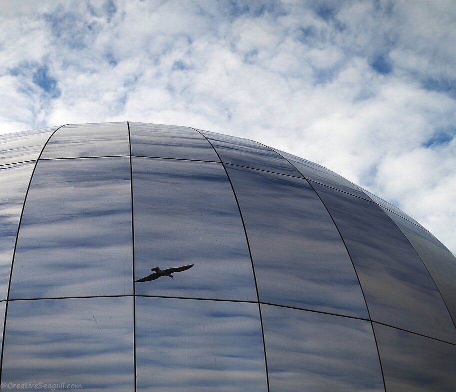 Bristol-110-copy.jpg