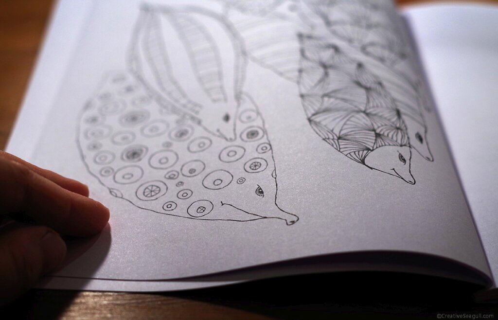 Fragment from the book