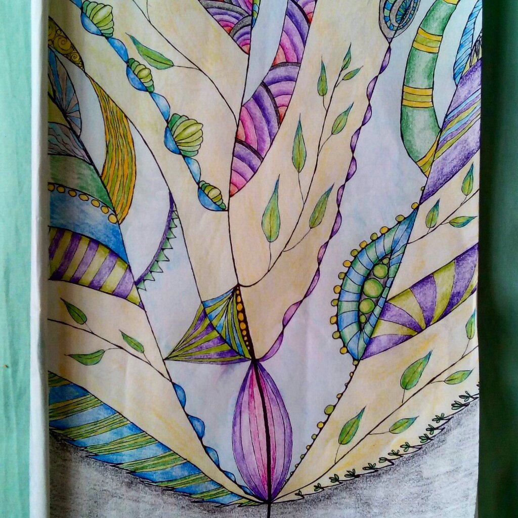 Coloured page from The Amazing World of Leaves