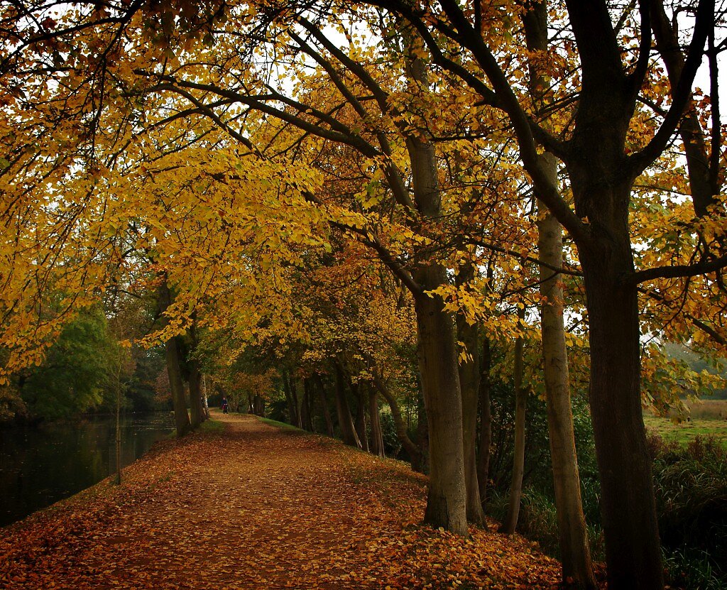 Oxford-8-web.jpg
