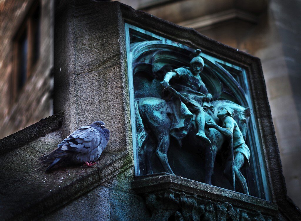 Oxford-11-web.jpg