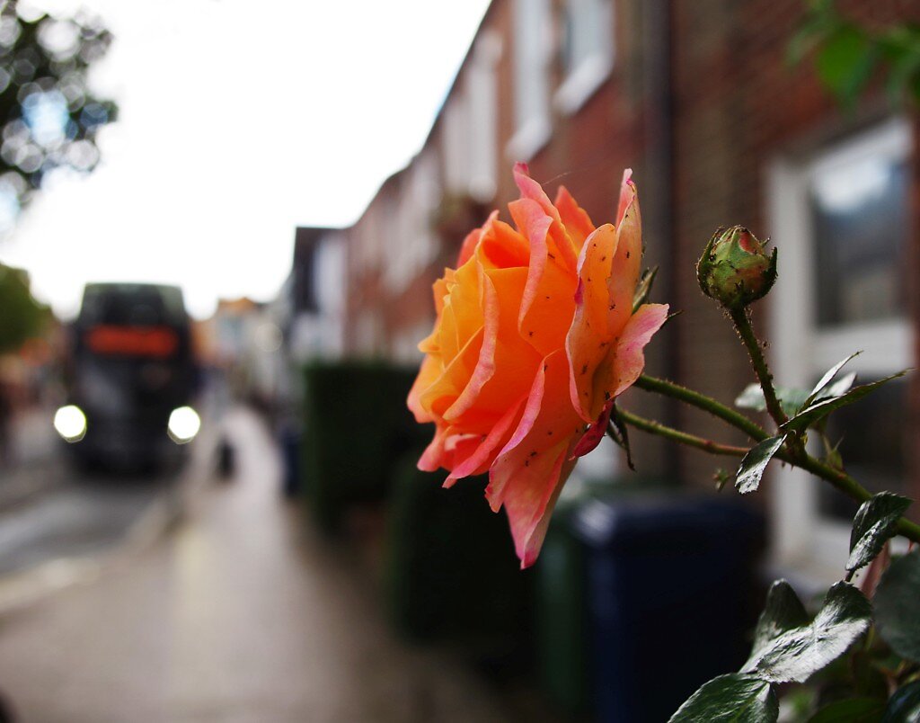 Oxford-13-web.jpg