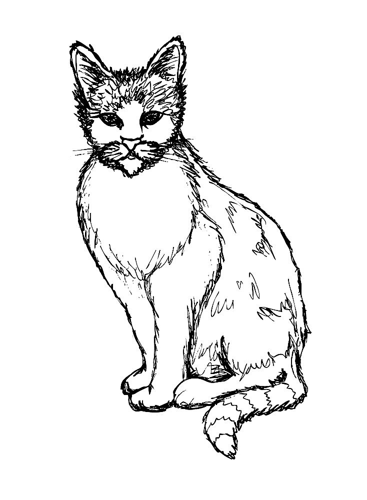 Christmas Cat