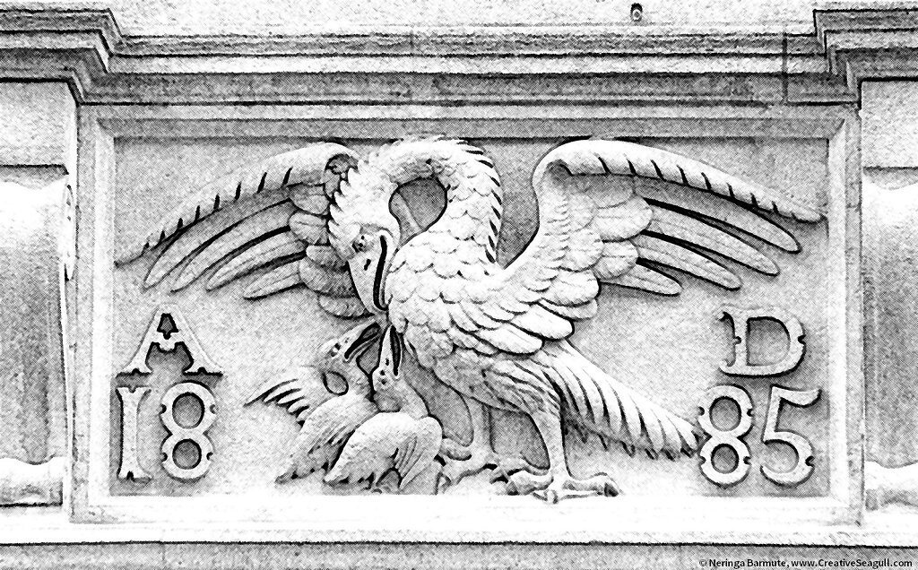 Greyscale bird