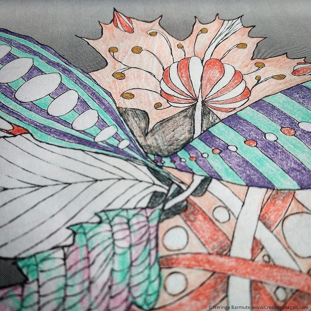 Fragment from The Amazing World of Leaves