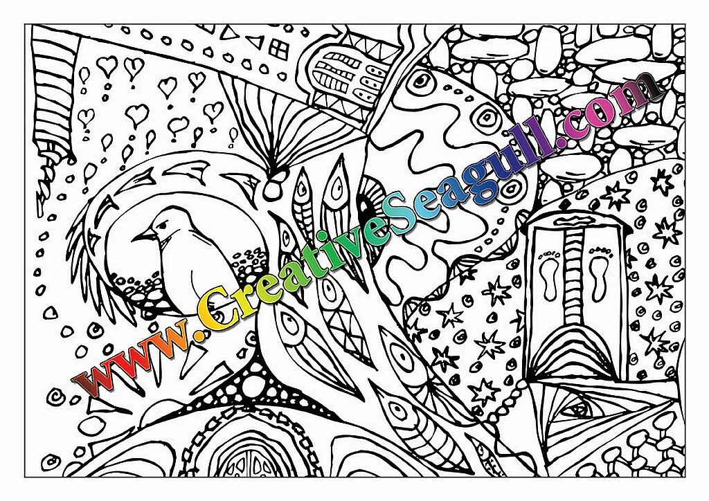 Drawings