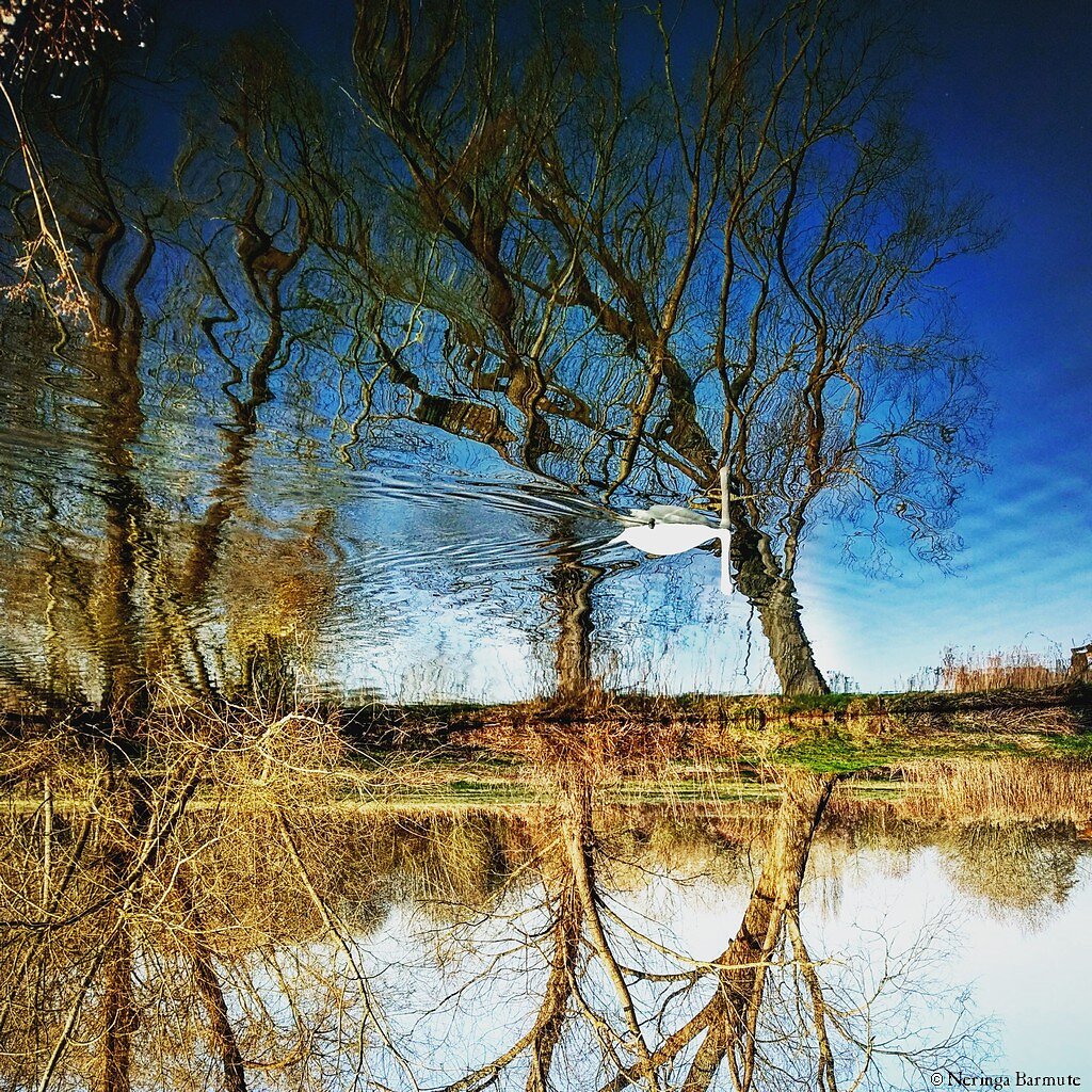 Surrealist photography