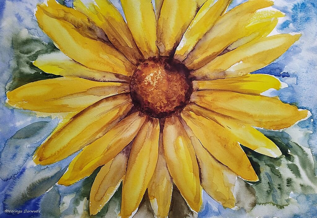 Sunflower