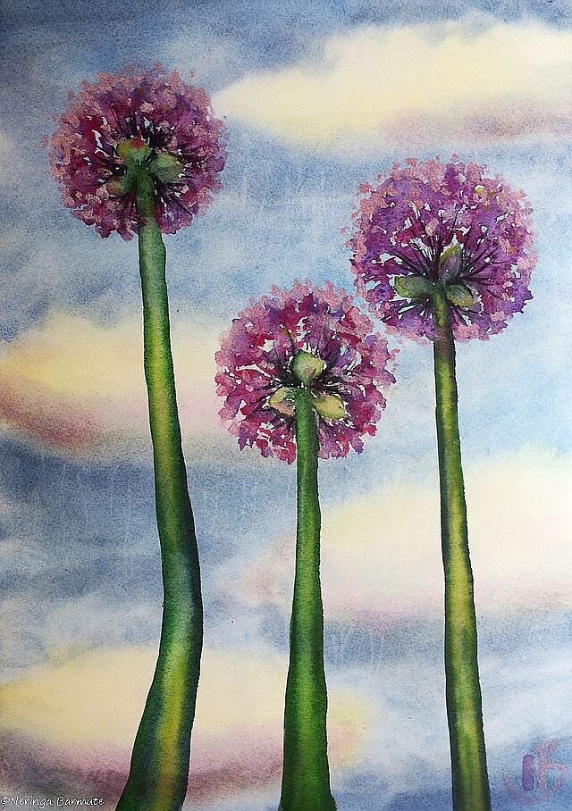 Alliums